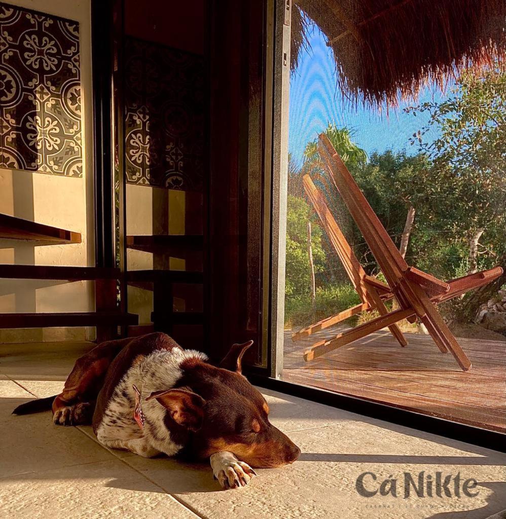 Ca Nikte Cabanas El Cuyo Exterior photo