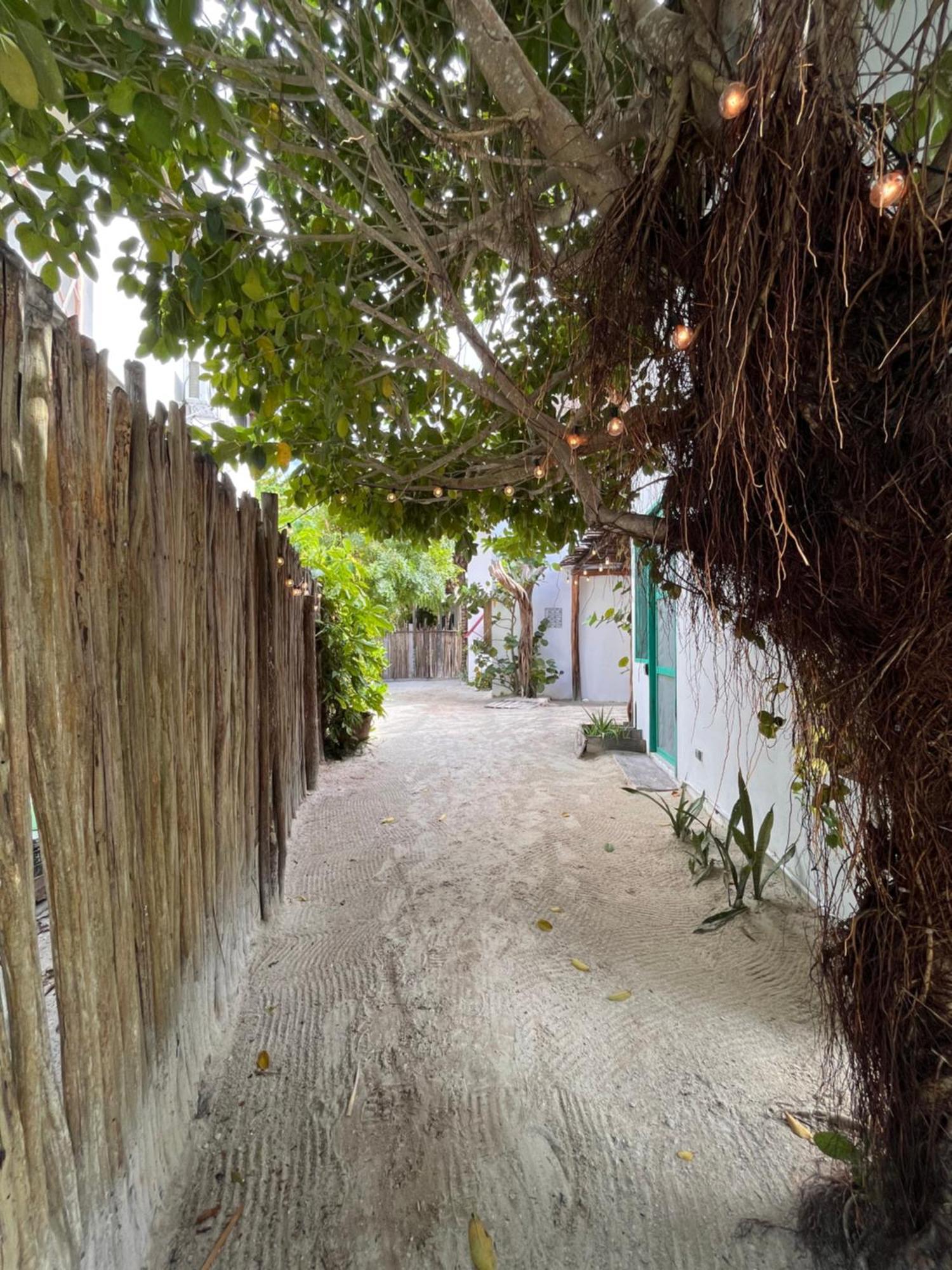 Ca Nikte Cabanas El Cuyo Exterior photo